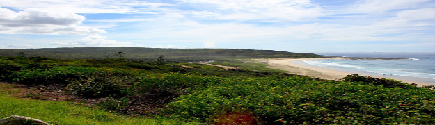 Australia holiday packages